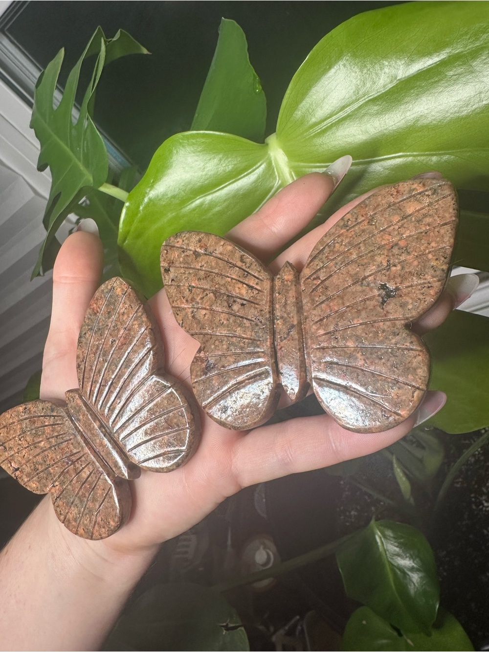 Polished Red Jasper Butterfly Carvings - Set of 2